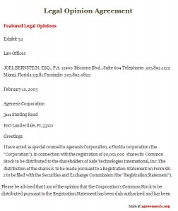 Legal Opinion Agreement