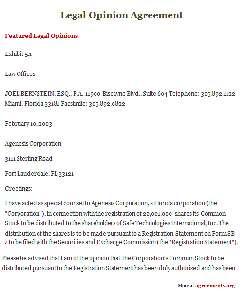Legal Opinion Agreement Agreements Business & Legal Agreements