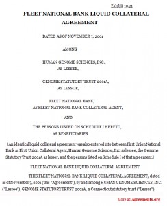 Fleet National Bank Liquid Collateral Agreement