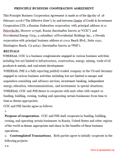 Principle Business Co-peration Agreement